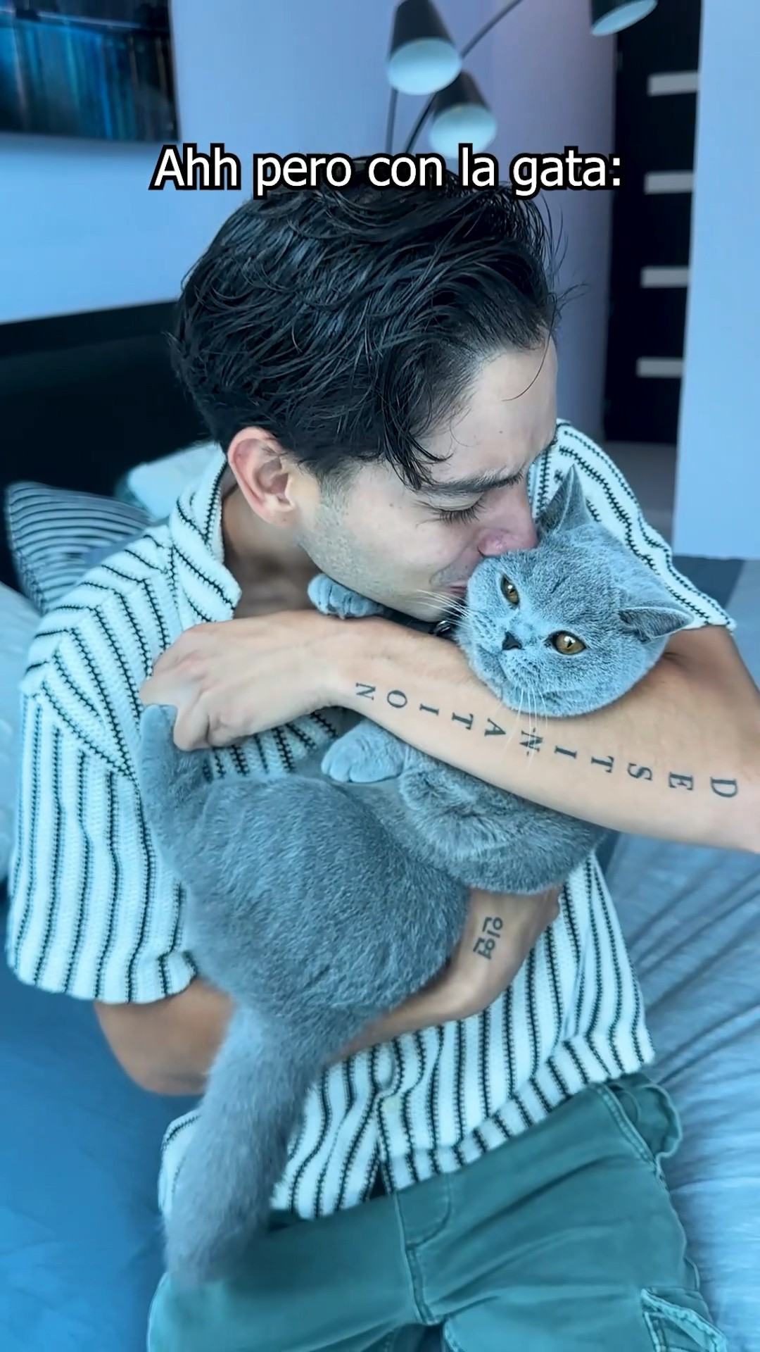 ¡Los Gatos son mejores que Los Perros! ??