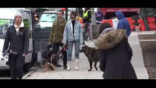 Emily Ratajkowski Cracks a Rare Smile in Double Denim While Doting on Pup Colombo in NYC Dog Park