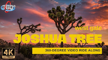 Joshua Tree West Entrance 360 4K Video