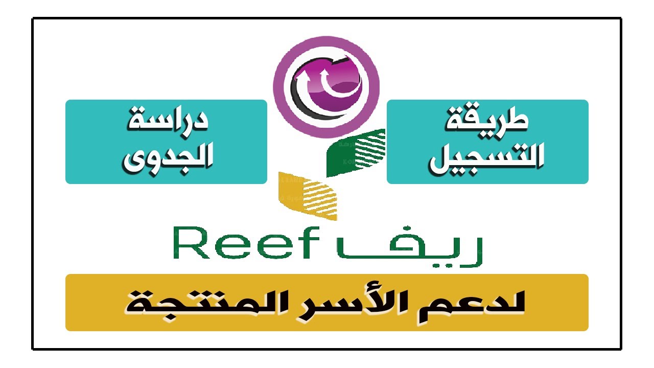 دراسة جدوى دعم ريف