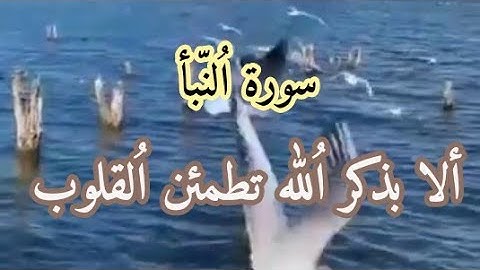 قراءة جميلة ورائعة لسورة النبأ للقارئ عبد الإله