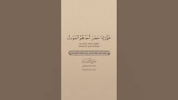 سورة النساء [ 17 : 18 ] ~ الشيخ ماهر المعيقلي