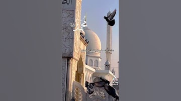 كتاب مشكاة المقربين في ذكر جوامع أدعية وأذكار الصالحين في التعليقات او الوصف..