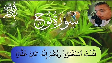 تلاوة خاشعة تأخذك إلى عالم الهدوء والسكينة سورة نوح كاملة بصوت القارئ #محمد_أبو_يوسف