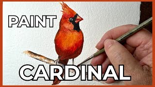 Paint a Vibrant Cardinal in Watercolor | Mix Colors on Paper & Soft Edges