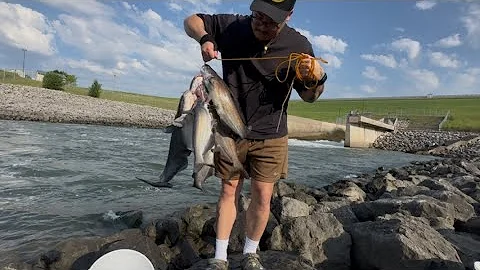 How to Catch Catfish Every Single Cast!