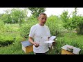 Розыгрыш от Пчеловодство и Природа | Выиграй матку Карника