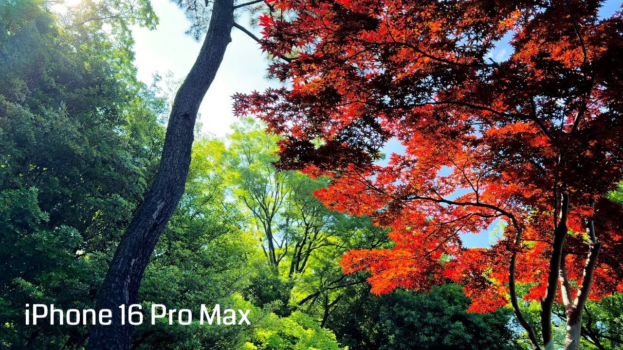 iPhone HDR video test in Arisugawa park