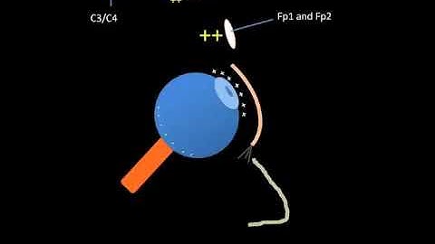 Eye Movements on EEG