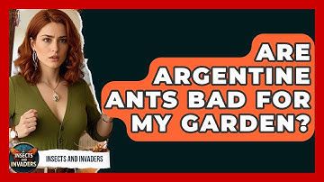 Are Argentine Ants Bad For My Garden? - Insects and Invaders
