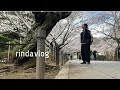 50代女/一人桜を見に行く/役に立たない毎日メイク/焼き鯖寿司
