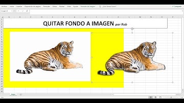 Quitar Fondo imagen en EXCEL, volverlo PNG