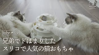 【3COINS】買ってよかったスリコで人気の猫おもちゃラグドール猫 #106