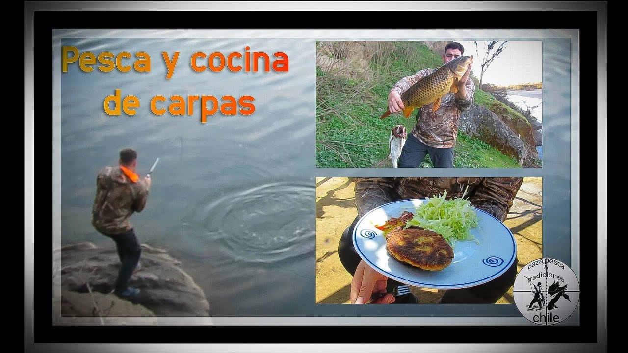 pesca de carpas con lombriz | carp fishing with worms