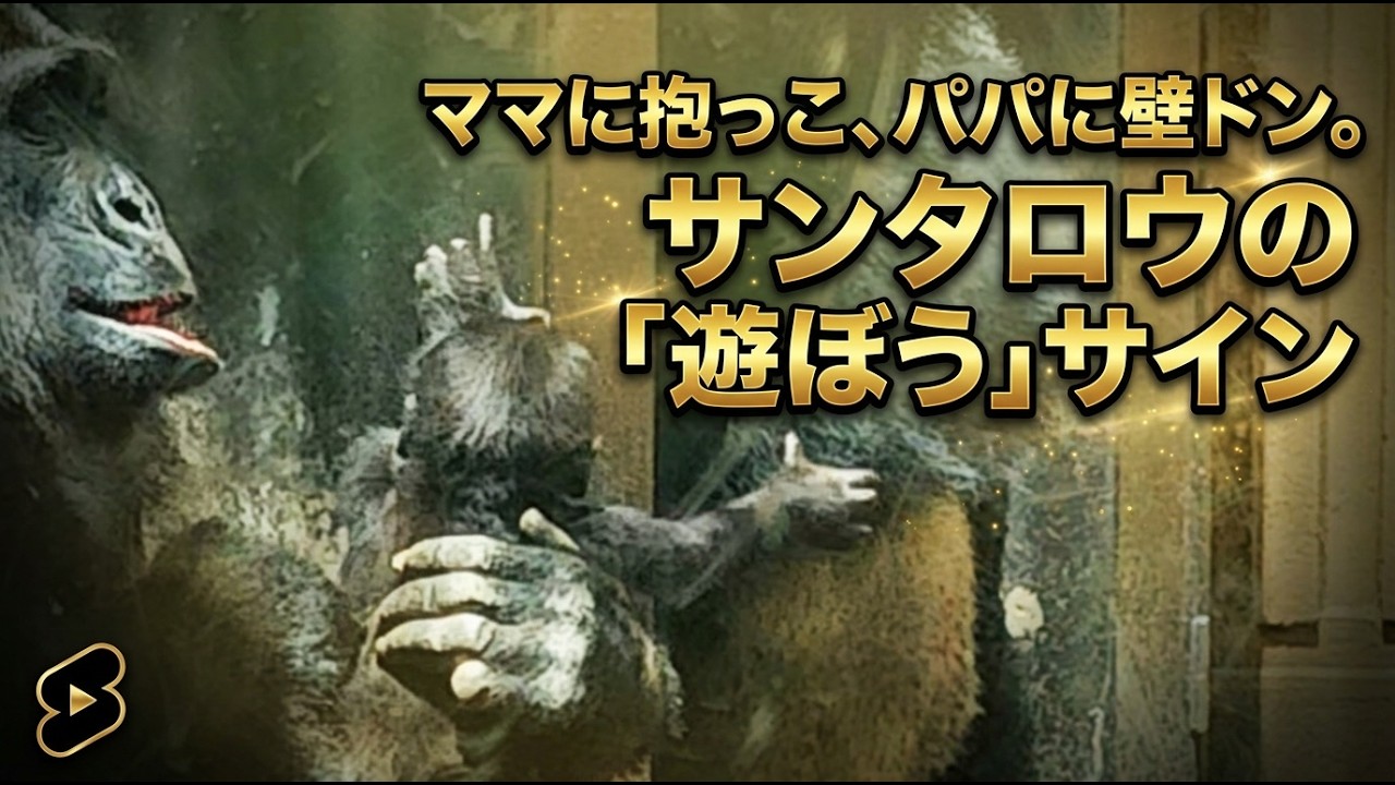 ママに抱っこ、パパに壁ドン。サンタロウの『遊ぼう』サイン【京都市動物園】