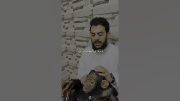 و ما من دابة في الأرض - القارئ الشيخ اسلام صبحي || قناة الفردوس الأعلى