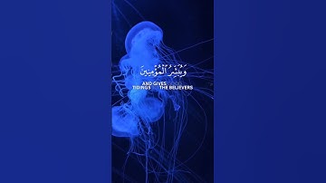 قران كريم بصوت جميل #قران_كريم #قرآن #quran #اكسبلور