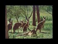 Radio Australiaラジオ･オーストラリア日本語放送1975