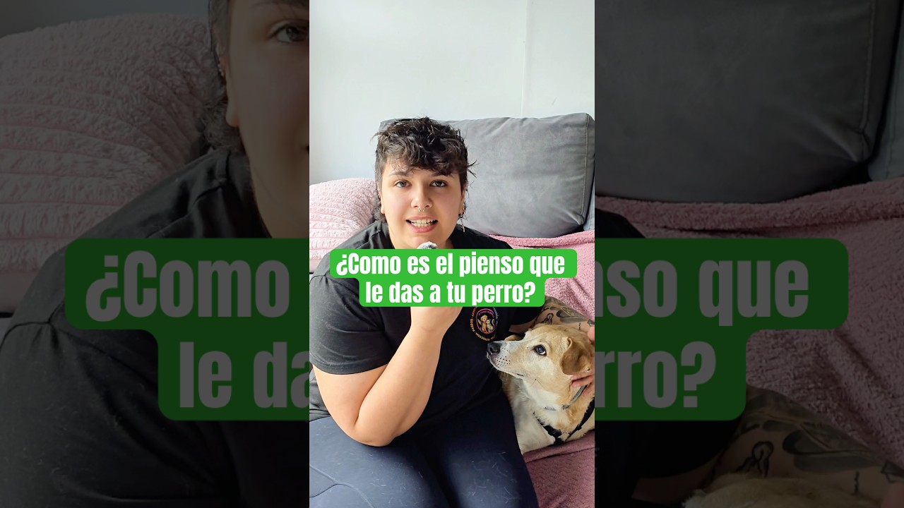 Si el pienso de tu perro tiene esto como primer ingrediente… 