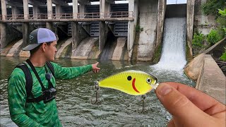 Spillway Fishing Blows my Mind! How Did I Catch This???