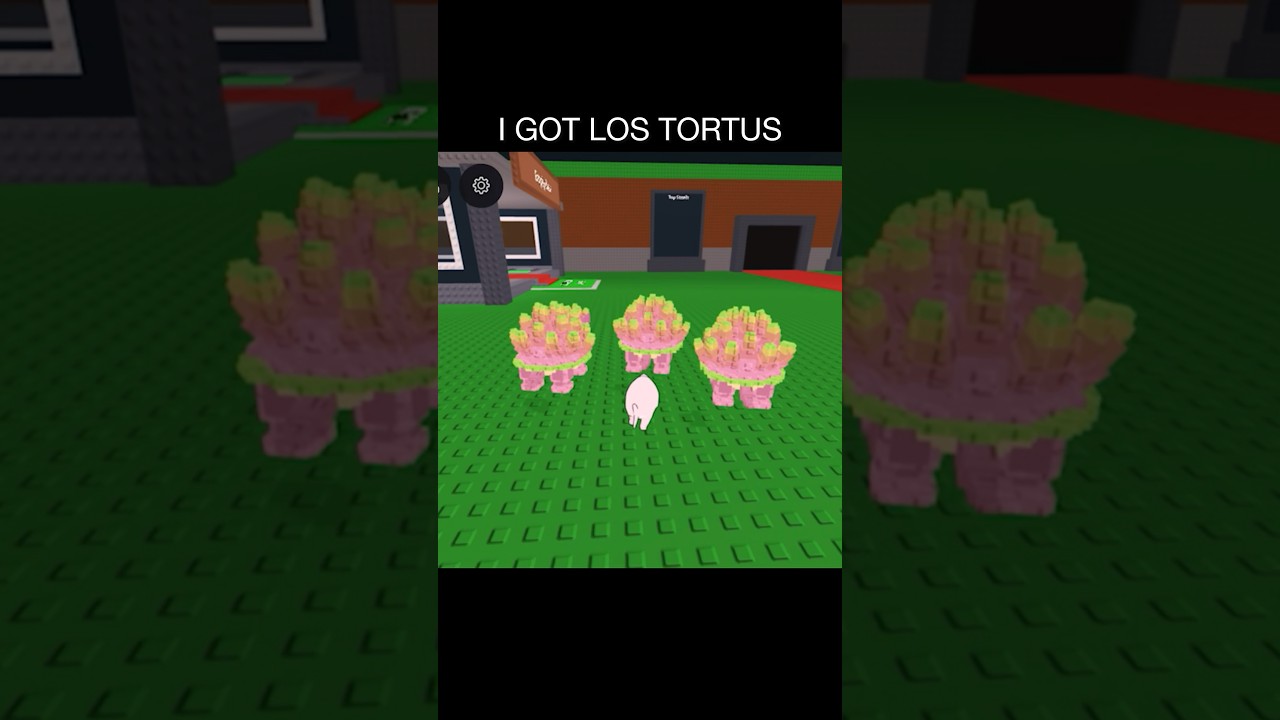 I got this Los Tortus 