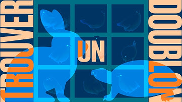 Le meilleur algo pour trouver un doublon