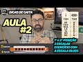 Dicas de Gaita - AULA #2 - 1ª e 2ª posição - Escala Blues com exercício