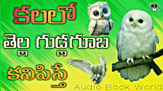 If you see a white owl in your dream|Kalalo WHITE OWL Kanipisthe l AudioBookWorldOfficial #kalalo...