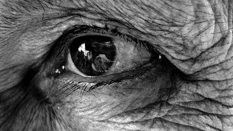 The Ageing Eye - Professor William Ayliffe - DayDayNews