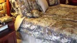 Realtree AP Camo Bedding Set