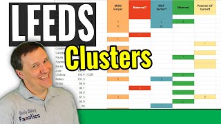 Create a DNA Leeds Method Chart Quickly to Cluster Your DNA Matches