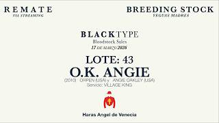 43 O K ANGIE