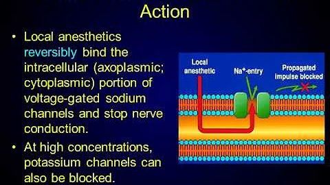 Local Anesthetics 1