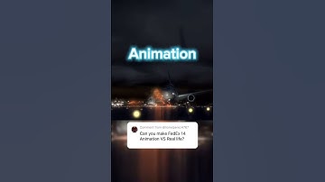 Animation vs Real life-FedEx flight 14 #planeedits #aviationedit #crash