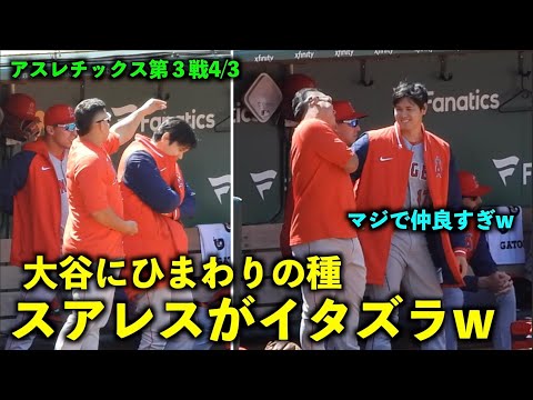 本当に仲良すぎw 大谷翔平にひまわりの種でイタズラするスアレス！やりとりが面白い件【現地映像】エンゼルスvsアスレチックス第３戦4/3