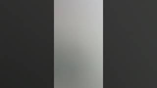 나박김치