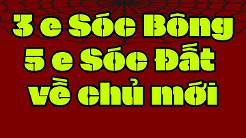 3 e Sóc Bông , 5 e Sóc Đất đi Dĩ An , qua nhà lấy , Quận 5, Biên Hòa , Quận 9 , Bình Dương ,