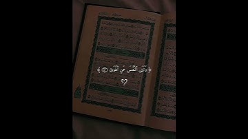 | الشيخ ماهر المعيقلي❤️سوره النازعات 🤍
