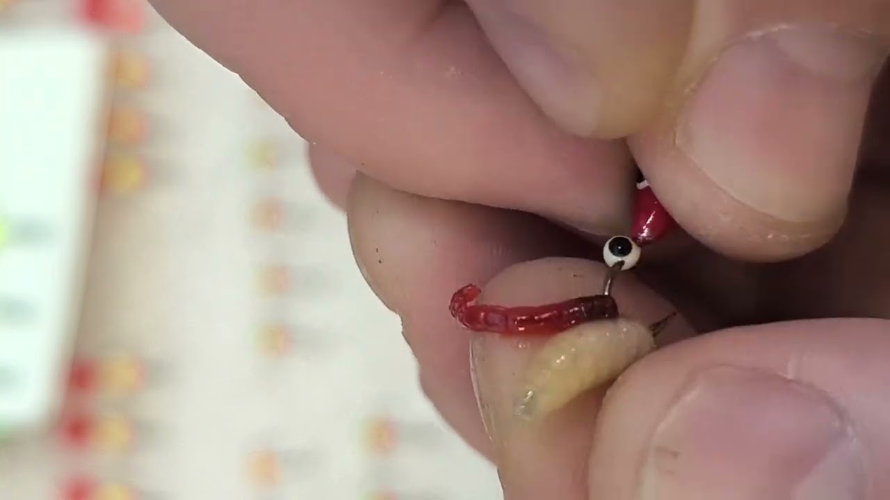 JAHIKALA . Motõlli püügi nippid ...