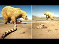 RDR2 All Animals Attack - [Main Animal/Event] | Epic Wild Moments"Ep.8