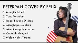 PETERPAN COVER BY FELIX