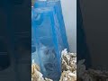 mouse at petco is scared of me lol