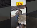 polishing machineCopper rod mirror polishing machine