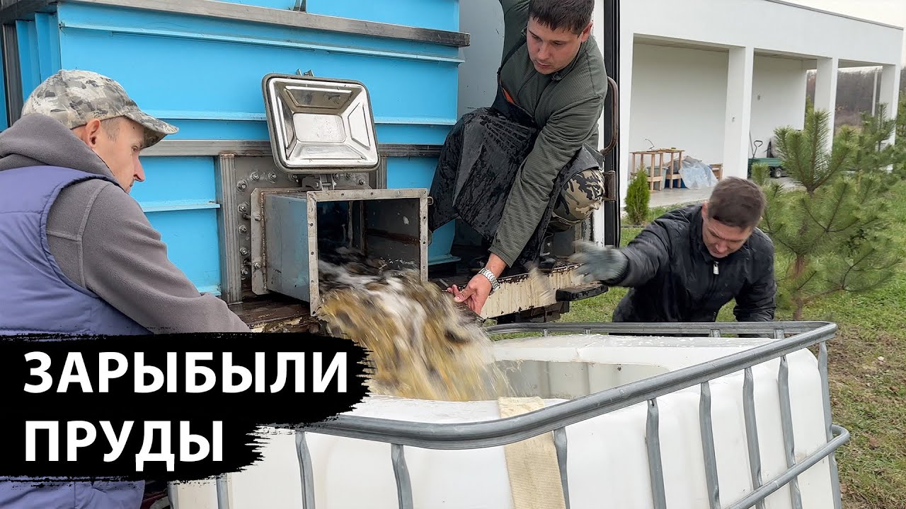 Большое зарыбление мальком, начал делать свой виноградник, заканчиваю садовые работы