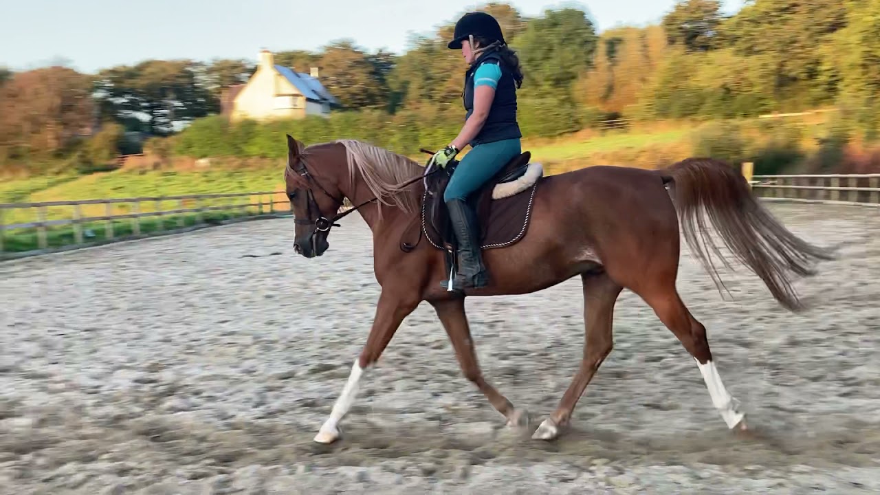 Dressage Classic, Summer Championship September 2021