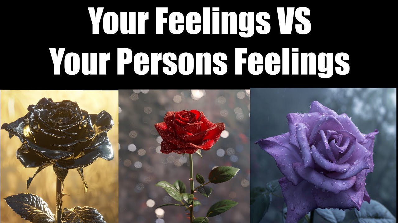 Your Persons’ Feelings VS Yours ❤️‍🔥✨ Pick A Card Timeless Psychic Reading ✨❤️‍🔥
