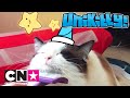 Unikitty | Echte katten met een hoorn | Cartoon Network