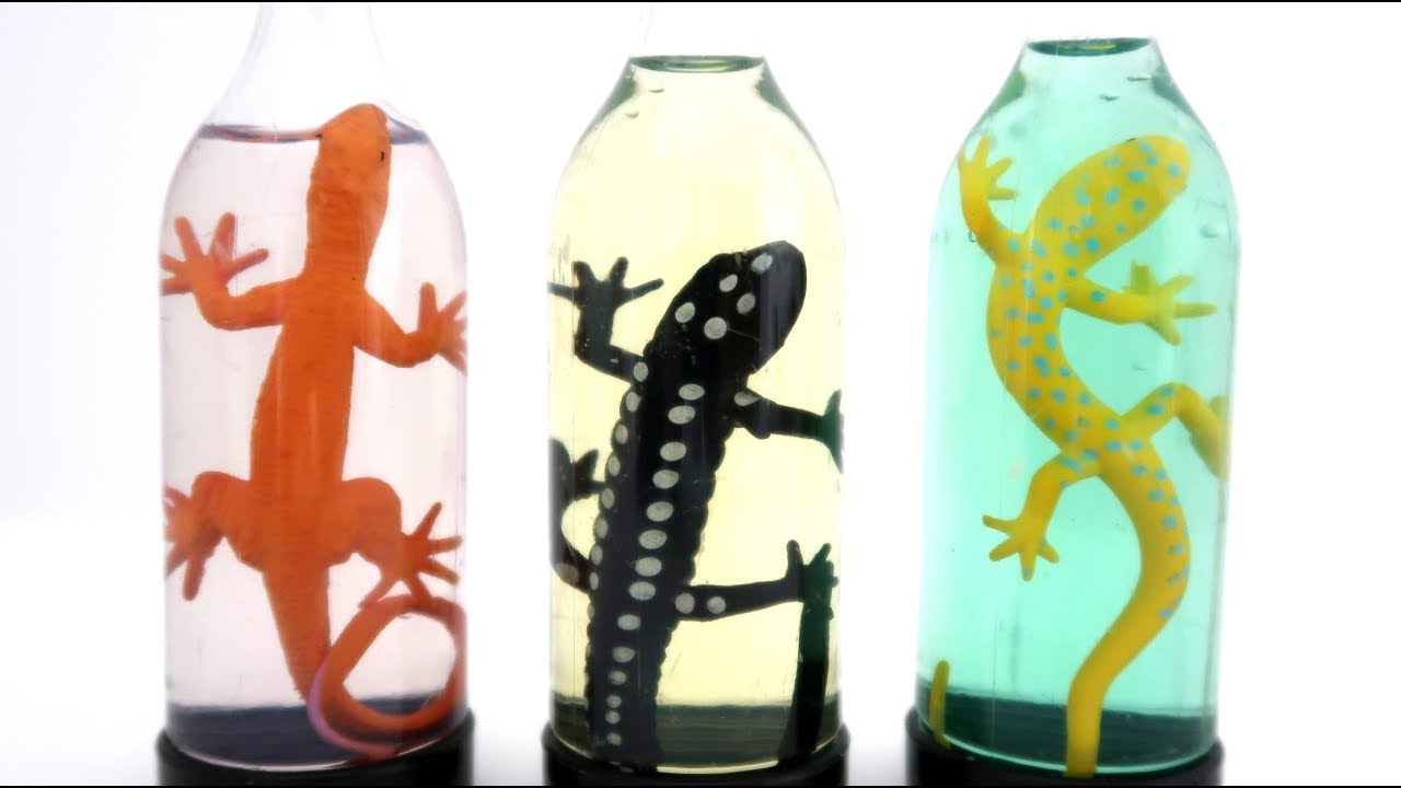 SLIME, MOCO VISCOSO CON BICHOS ¿JUGUETE ASQUEROSO? / DIVER+