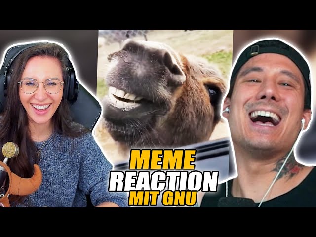 Gnu Memes Share Your Linux Memes Page 22 Lounge EndeavourOS