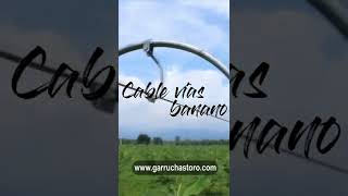 Fabricantes De Cable Vía Para Banano Manufacturers Of Cableway For Banana